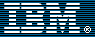 IBM IBM